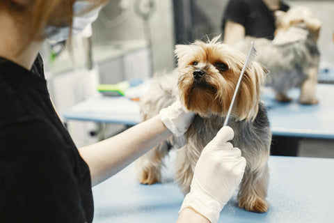 Grooming